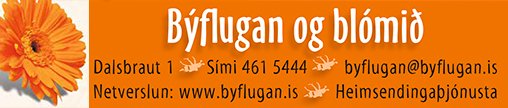 Býflugan og blómið