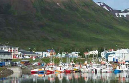 Dalvík Taxi