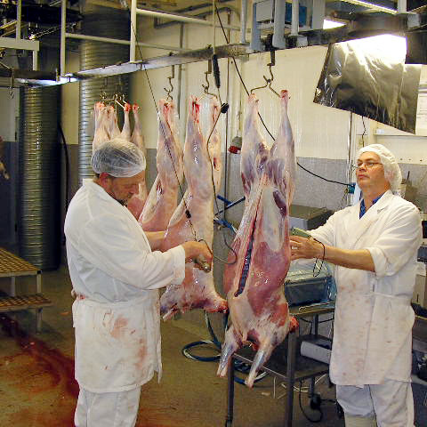 Úr vinnslusal Norðlenska á Húsavík.