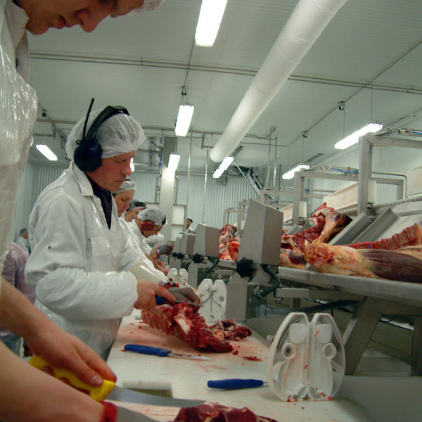 Opið hús hjá Norðlenska fyrsta vetrardag